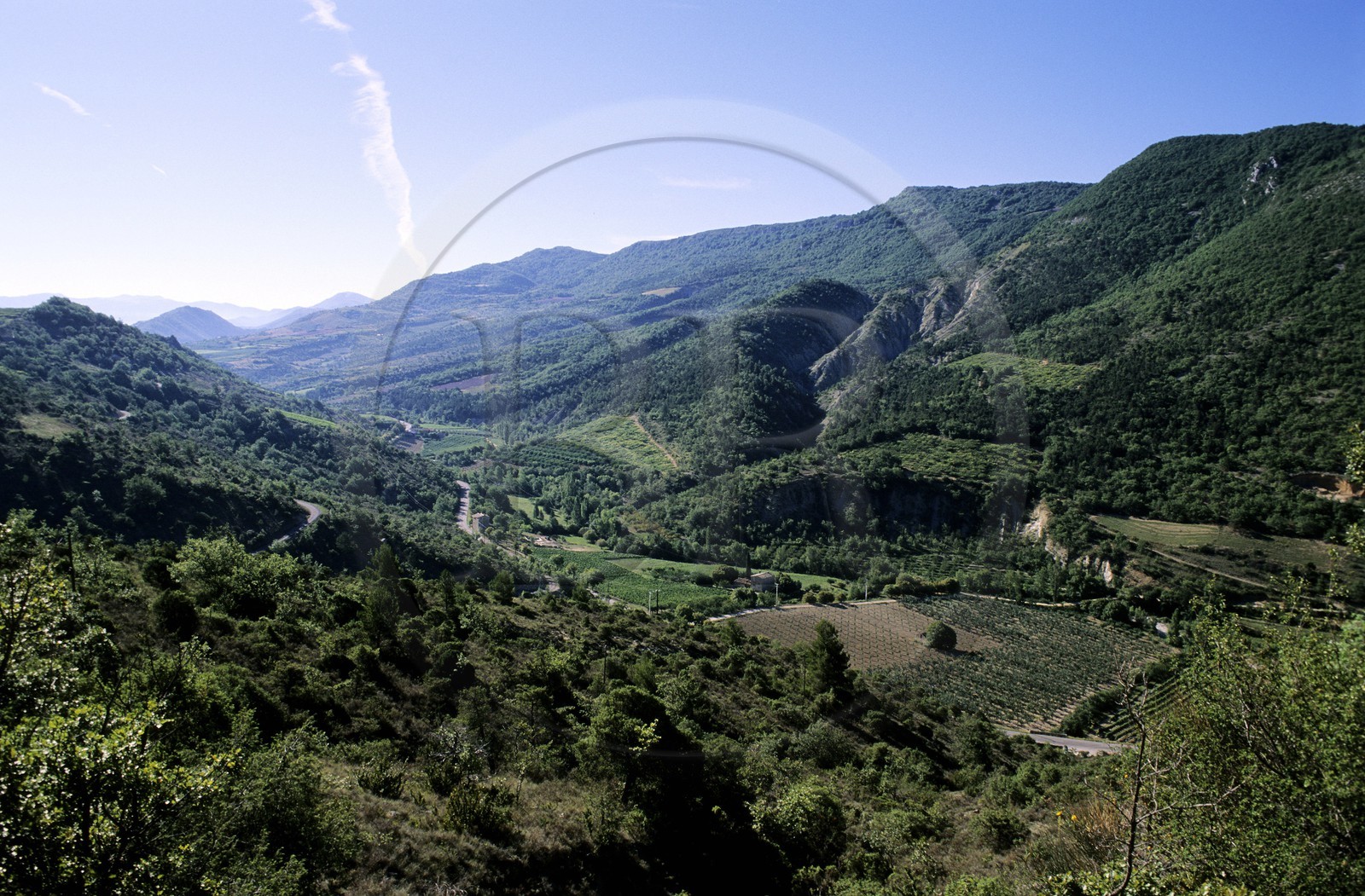 France, Drome, Ouveze valley and Gravas mountain