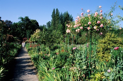 France, Eure (27), Giverny, jardin de Claude Monet