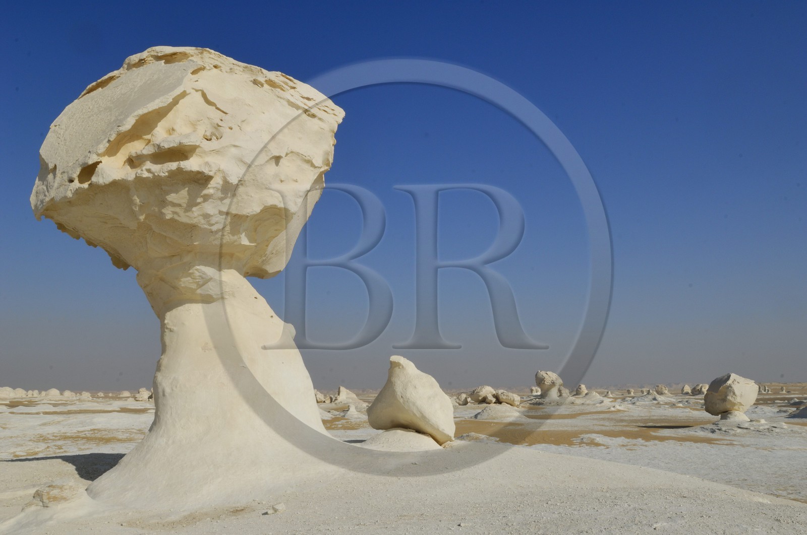 Egypte, désert libyque, le Désert Blanc au nord de Farafra