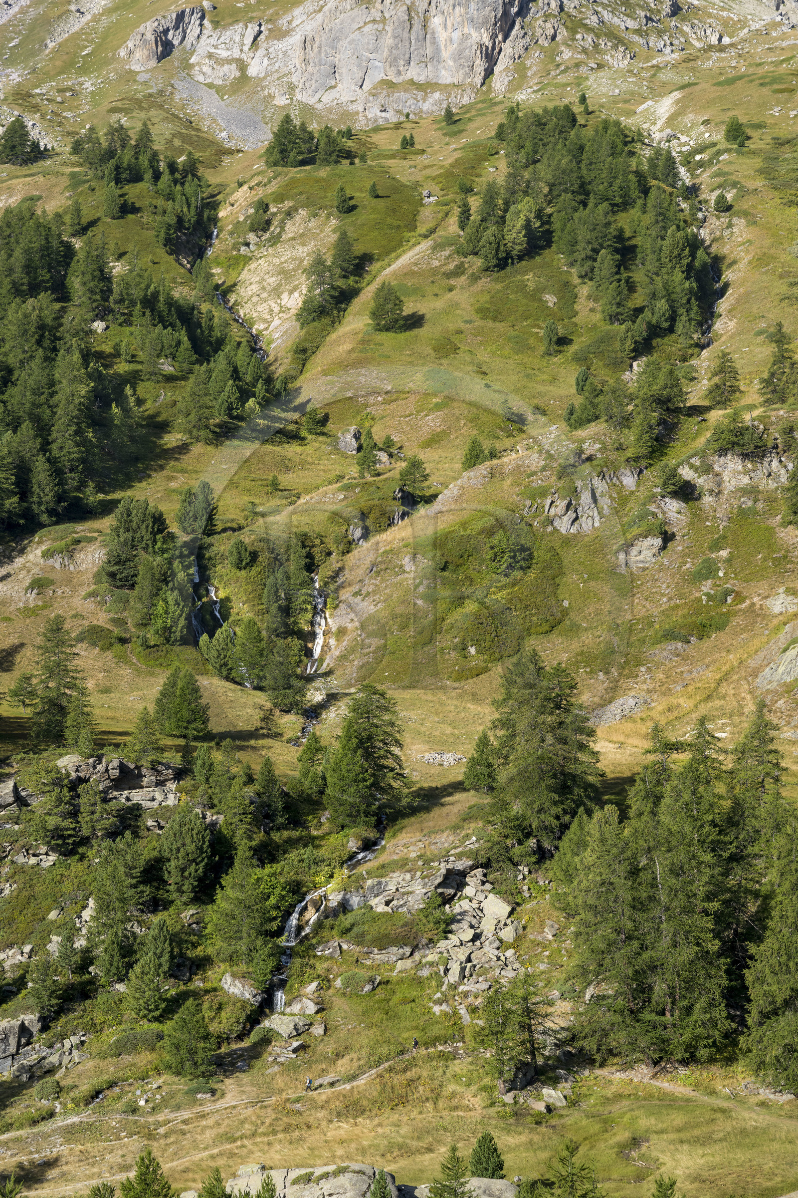 France, Hautes Alpes, Briancon region, Nevache, hikers on a trail in the Clarée Valley