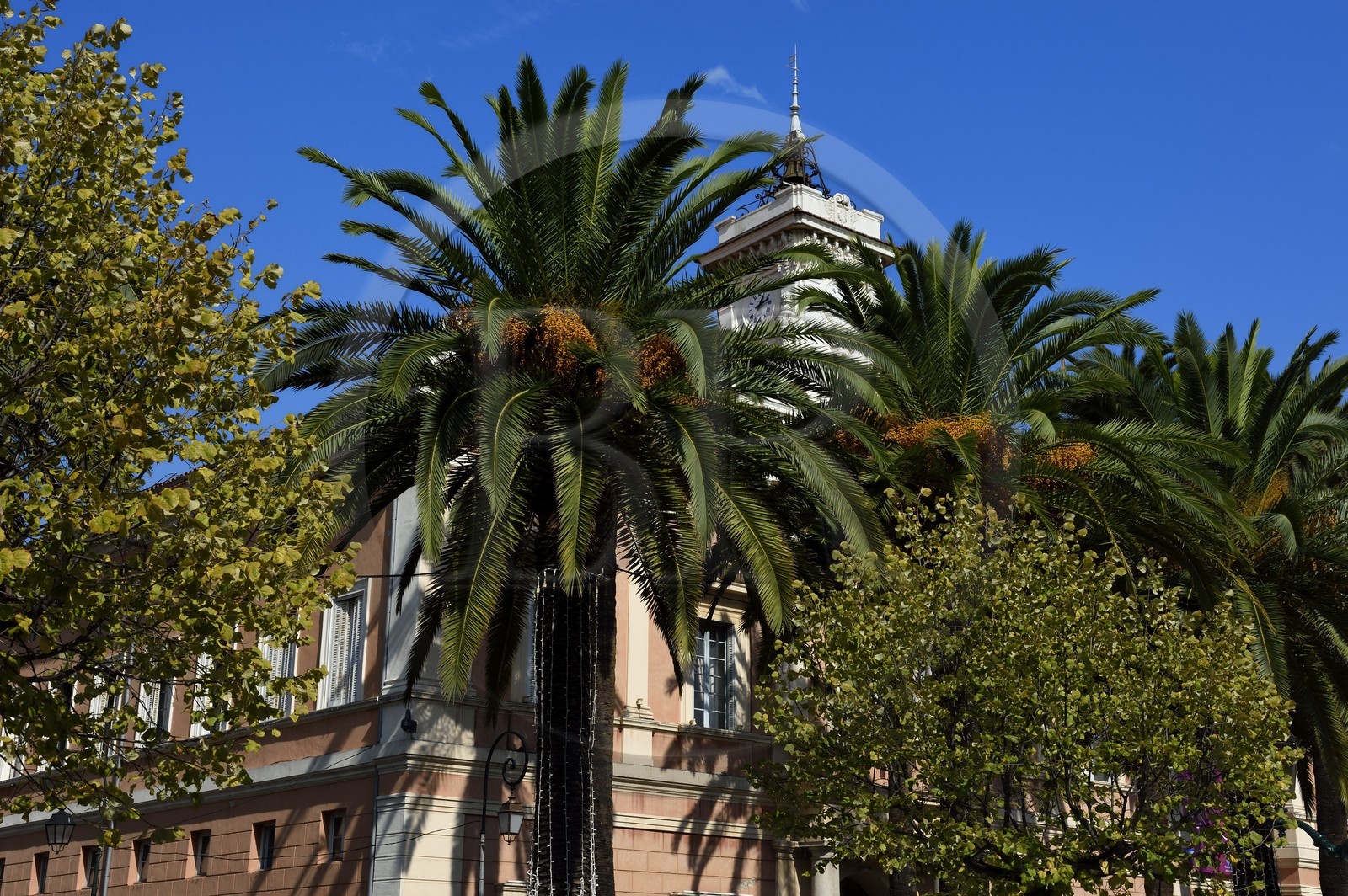 France, Corse-du-Sud (2A), Ajaccio, l’hotel de ville place Maréchal Foch