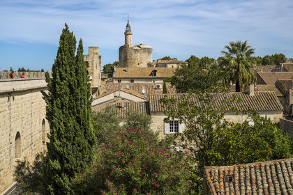 France, Gard (30), Aigues-Mortes, la Tour de Constance en bordure des remparts, maisons de la vieille ville au premier plan