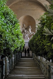 France, Yvelines, Chateau de Versailles, listed as World Heritage by UNESCO, Orangery by Jules Hardouin Mansart in Winter