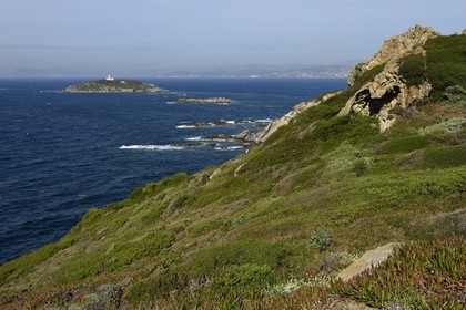 France, Var (83), Ile des Embiez, la Pointe du Coucoussa, en arrière plan l'Ile du Grand Rouveau et le continent