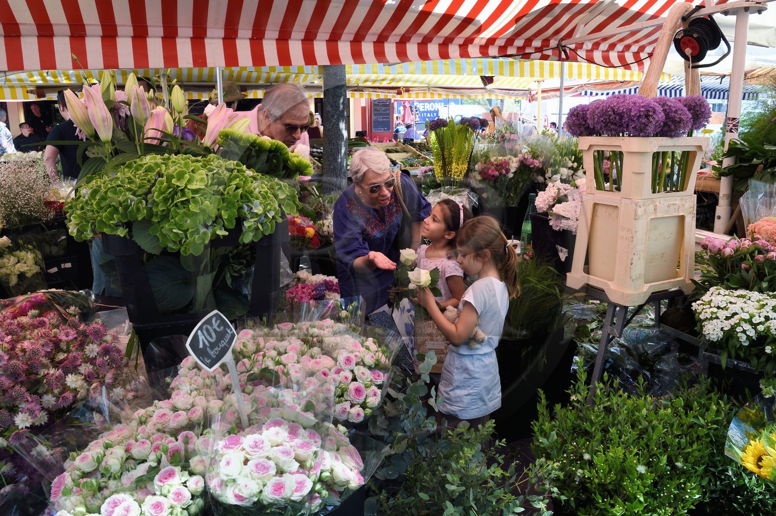 France, Alpes-Maritimes (06), Nice, vieille ville, marché du cours Saleya, marché aux fleurs