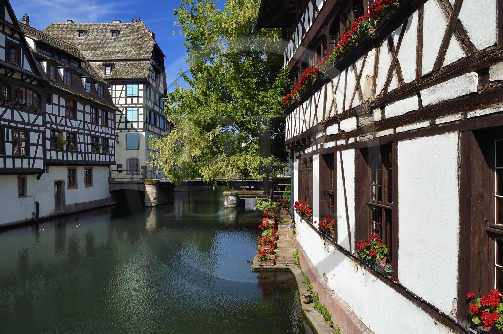 France, Bas-Rhin (67), Strasbourg, vieille ville classée au Patrimoine Mondial de l'UNESCO, quartier de la Petite France, le pont du Faisan sur un bras de l'Ill et la Maison des Tanneurs de 1572 (restaurant) à droite