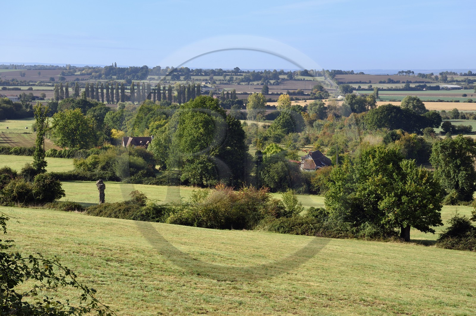 France, Calvados, Pays d'Auge, Mézidon Vallée d'Auge, landscape at a place called Le Doux Marais (The Sweet Marsh)
