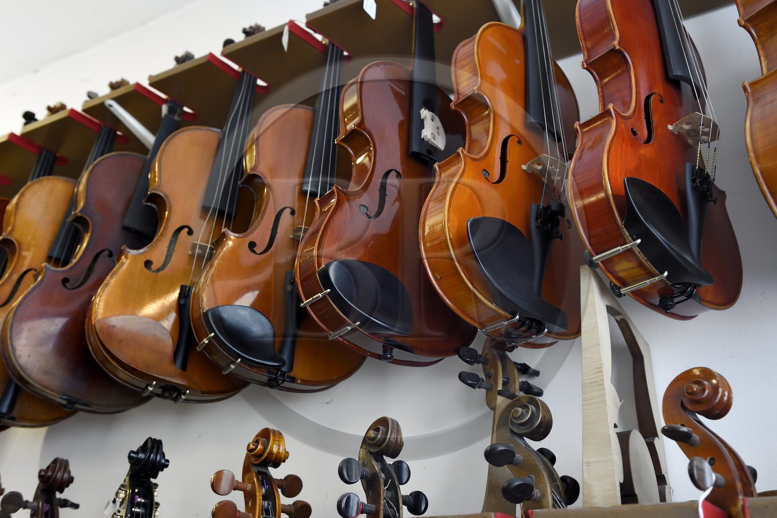 France, Dordogne (24), Périgord Blanc, Périgueux, atelier du luthier Damien Florio