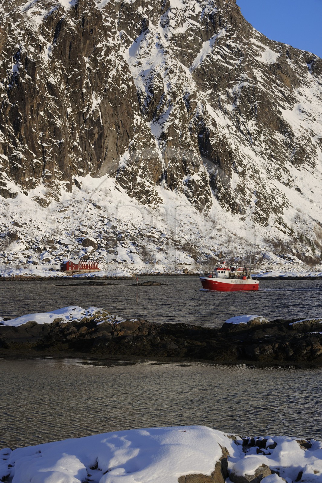Norvège, Nordland, Iles Lofoten, le port de Svolvaer, retour d'un bateau de pêche