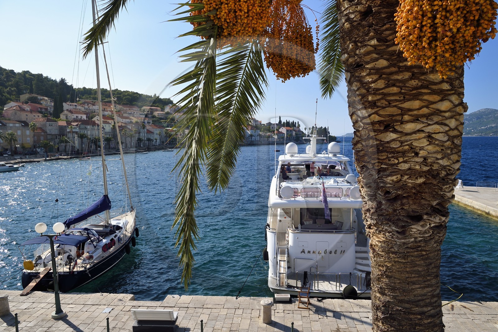 Croatie, Dalmatie, cote dalmate, Ile de Korcula, ville de Korcula, bateaux à quai sur le port