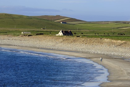 Royaume-Uni, Ecosse, Iles Orcades, Ile de Mainland, la Baie de Skaill à Skara Brae