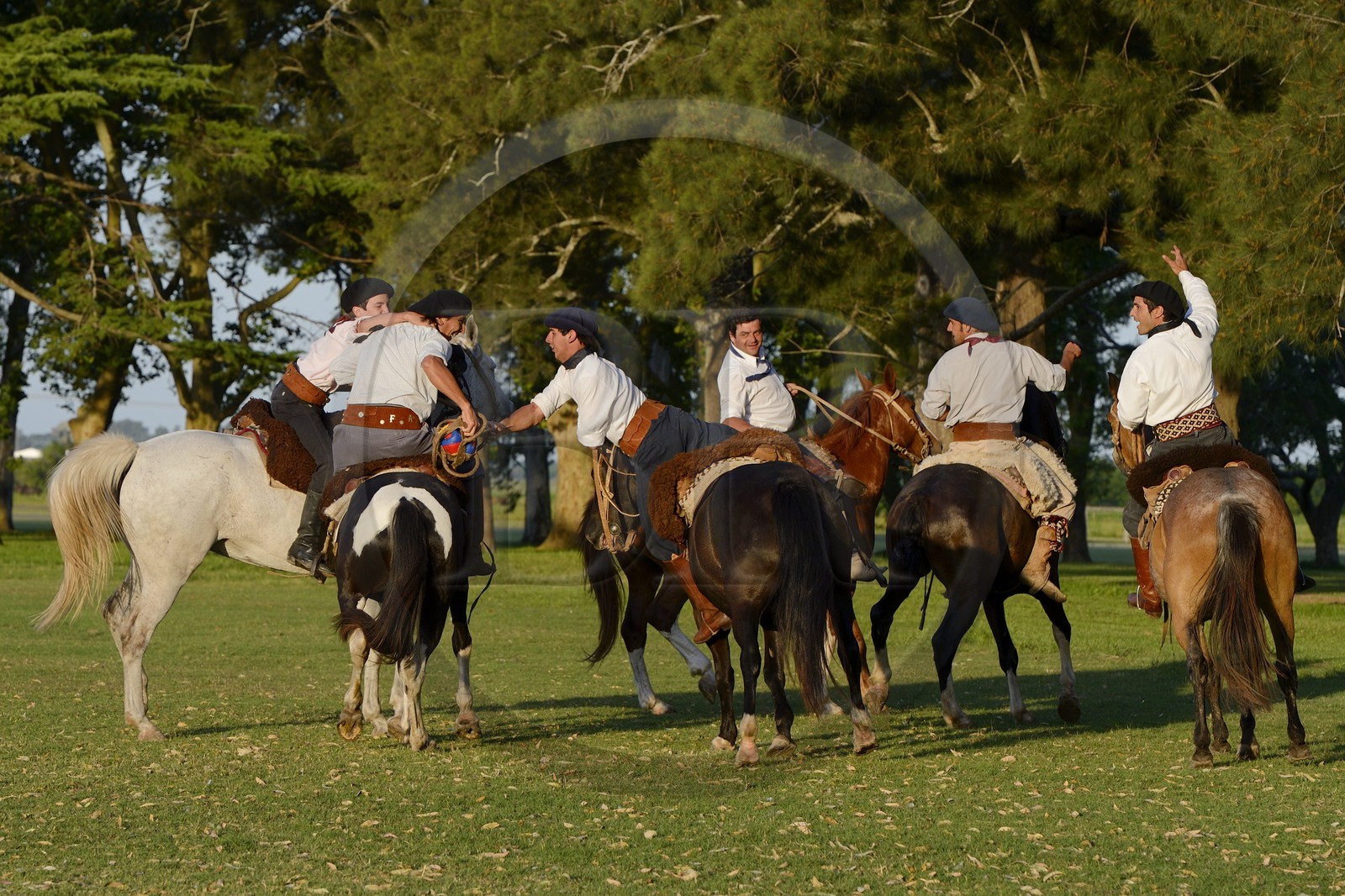 Argentine, province de Buenos Aires, San Antonio de Areco, estancia La Bamba de Areco, gauchos jouant au Pato (horse-ball) qui est un sport d’équipe équestre, mélange de rugby et de basket à cheval