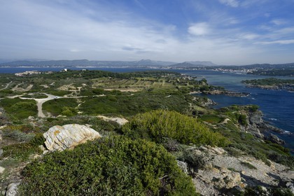 France, Var (83), Ile des Embiez vue depuis la Pointe du Coucoussa, en arrière plan Six-Fours-les-Plages sur le continent
