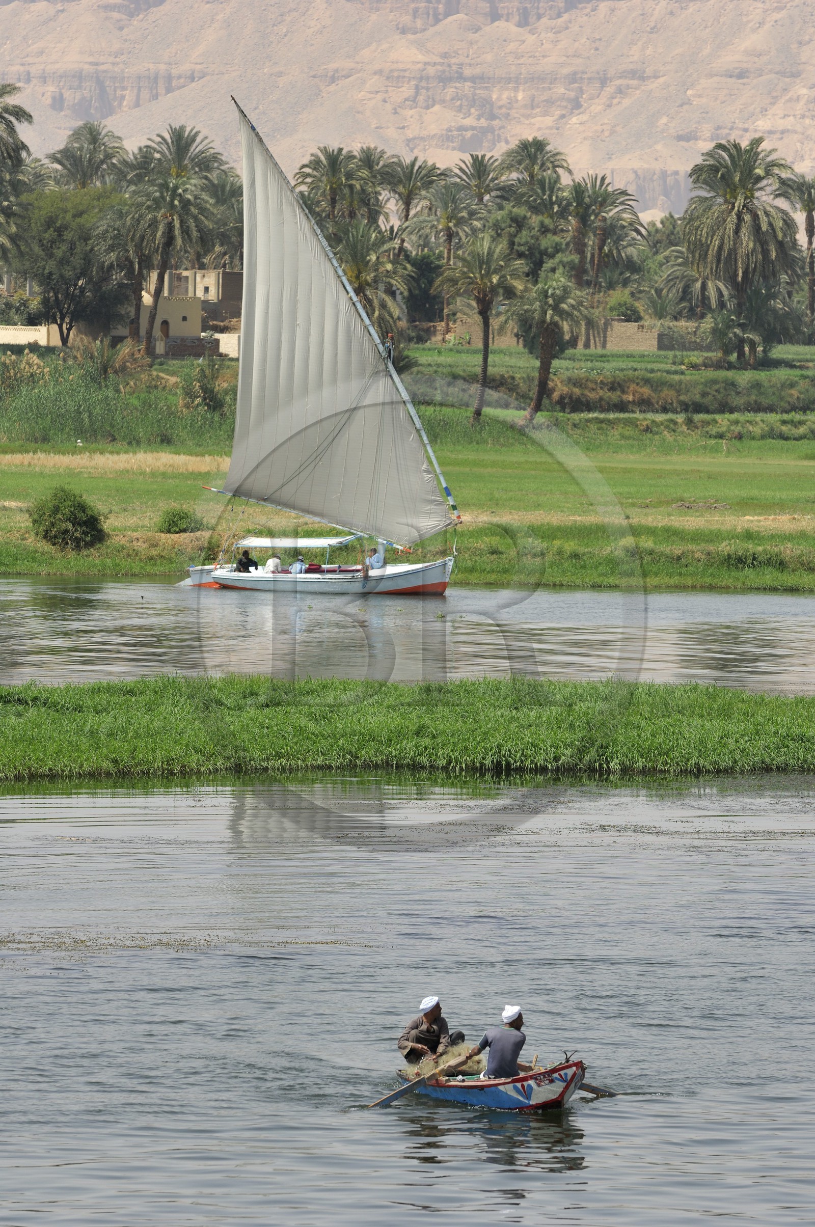 Egypte, Haute Egypte, vallée du Nil, barque de pêcheur et felouque sur le Nil entre Louxor et Esna