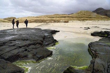 Royaume-Uni, Ecosse, Highland, Lochaber, plage de Sanna à l'extrémité ouest de la péninsule d'Ardnamurchan