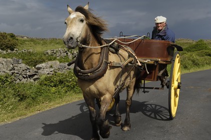Republic of Ireland, County Galway, Aran Islands, Inishmore, Aran inhabitant on a barouche