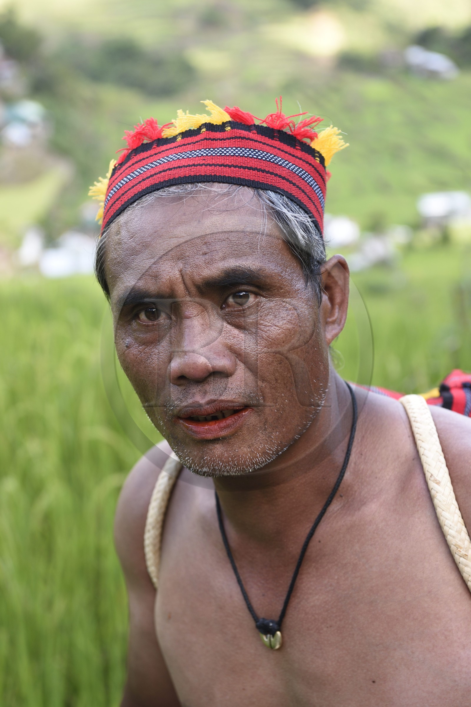 Philippines, province d'Ifugao