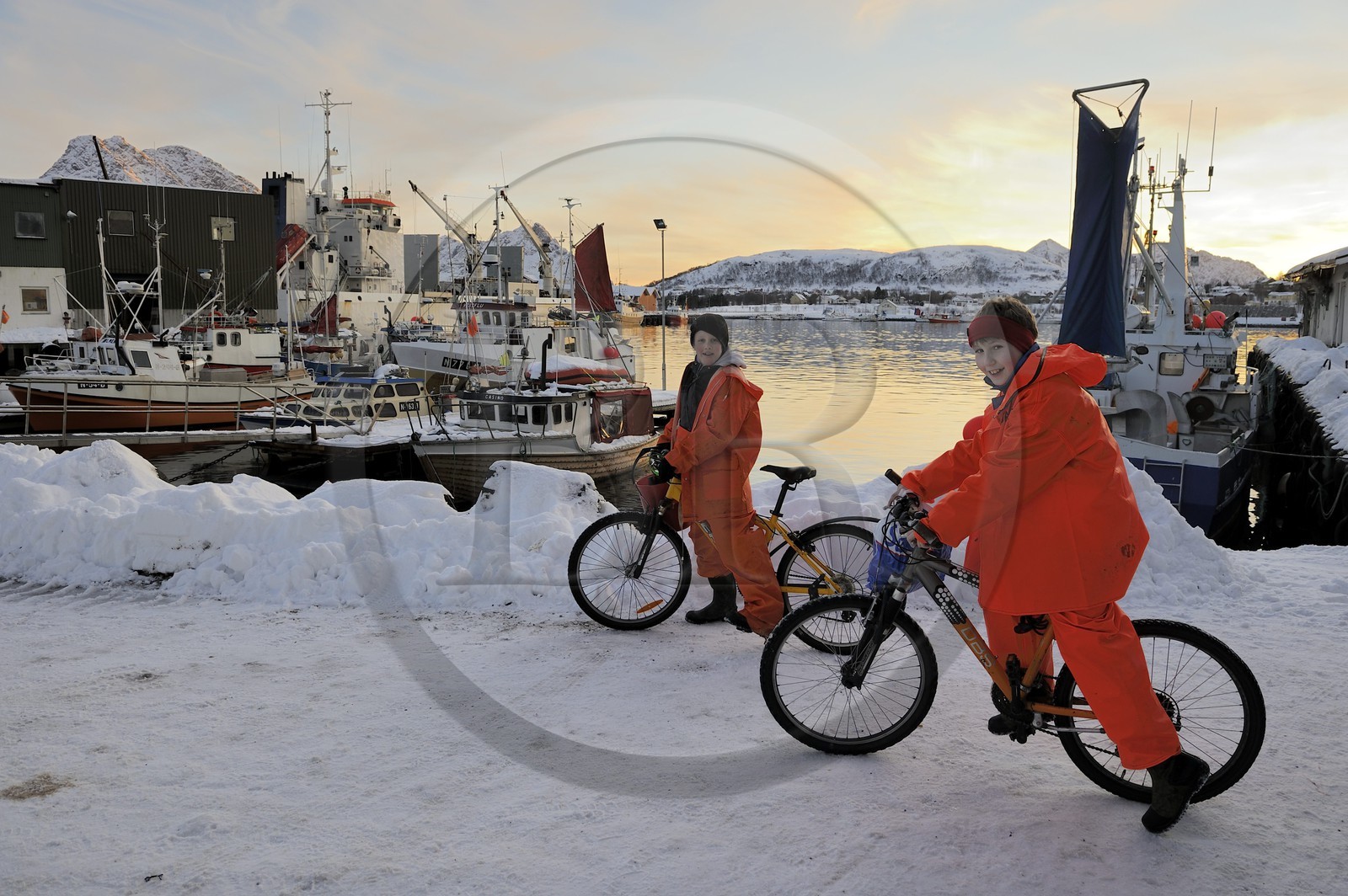 Norway, Nordland County, Vesteralen Islands, Myre harbour, young fishermen returning home by bike