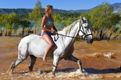 France, Var (83), Parc Naturel Régional du Verdon, lac de Sainte Croix, randonnée équestre avec Verdon Equitation