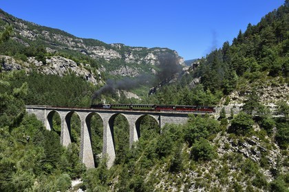 France, Alpes-Maritimes, Alpes de Haute Provence, les scaffarels around Annot, the Train des Pignes historic train crossing the Donne viaduct