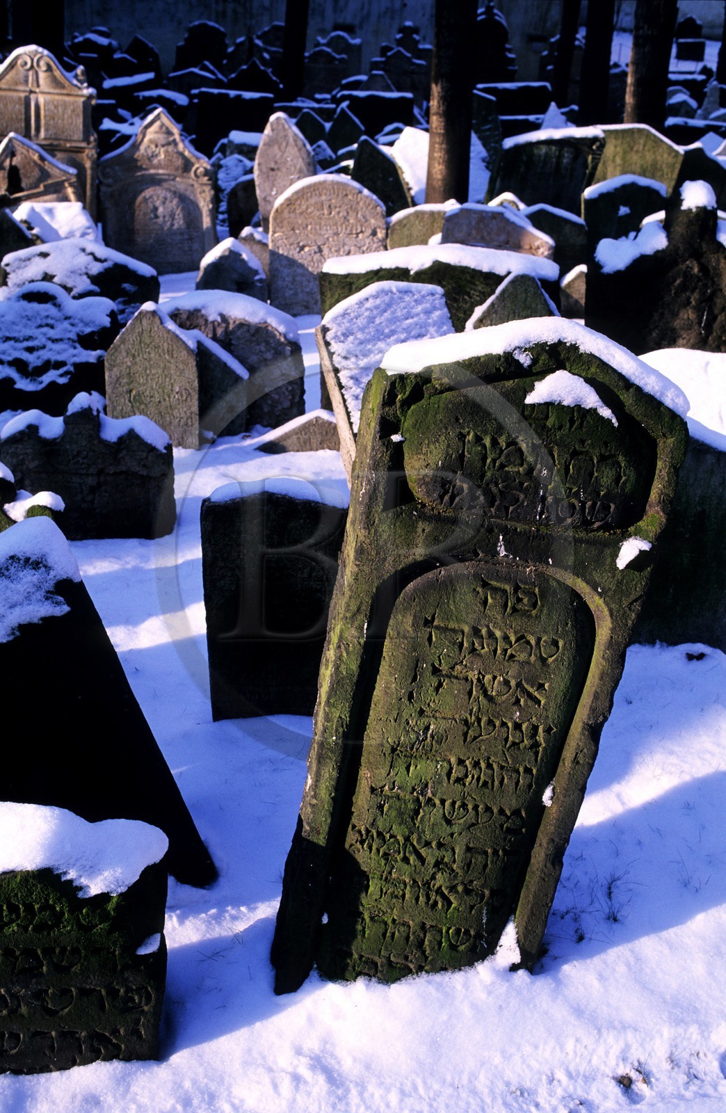 République Tchèque, Prague, stèles du vieux cimetière juif
