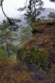 France, Bas-Rhin, Parc regional des Vosges du nord (Northern Vosges Regional Natural Park), La Petite Pierre, Rocher du Saut du Chien (Rock of the Dog Jump)