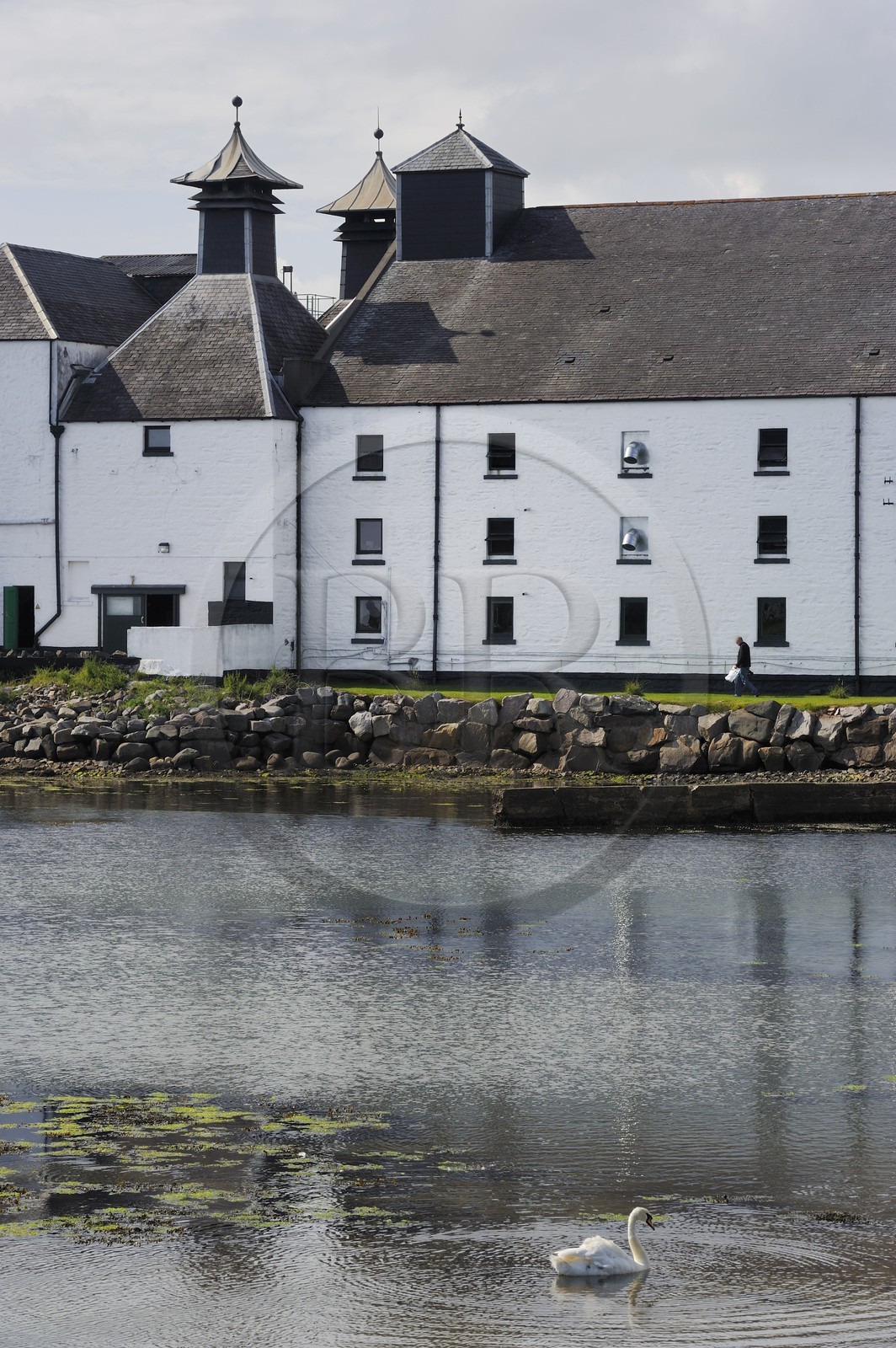 Royaume-Uni, Ecosse, Hébrides intérieures, Ile de Islay, Port Ellen, distillerie de whisky Laphroaig