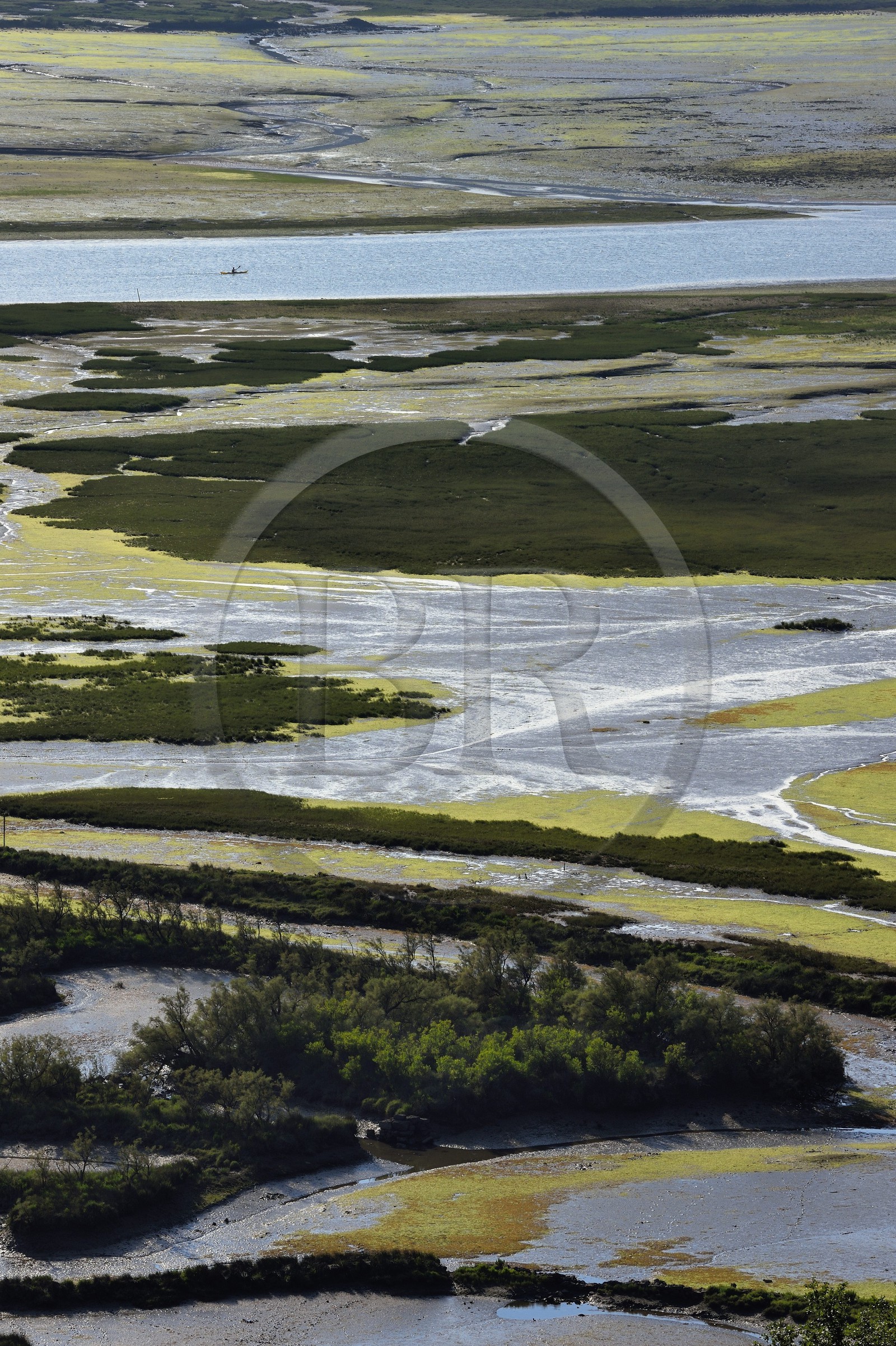 Spain, Basque Country, Biscay Province, Gernika-Lumo region, Urdaibai estuary Biosphere Reserve, estuary of the Oka River at low tide