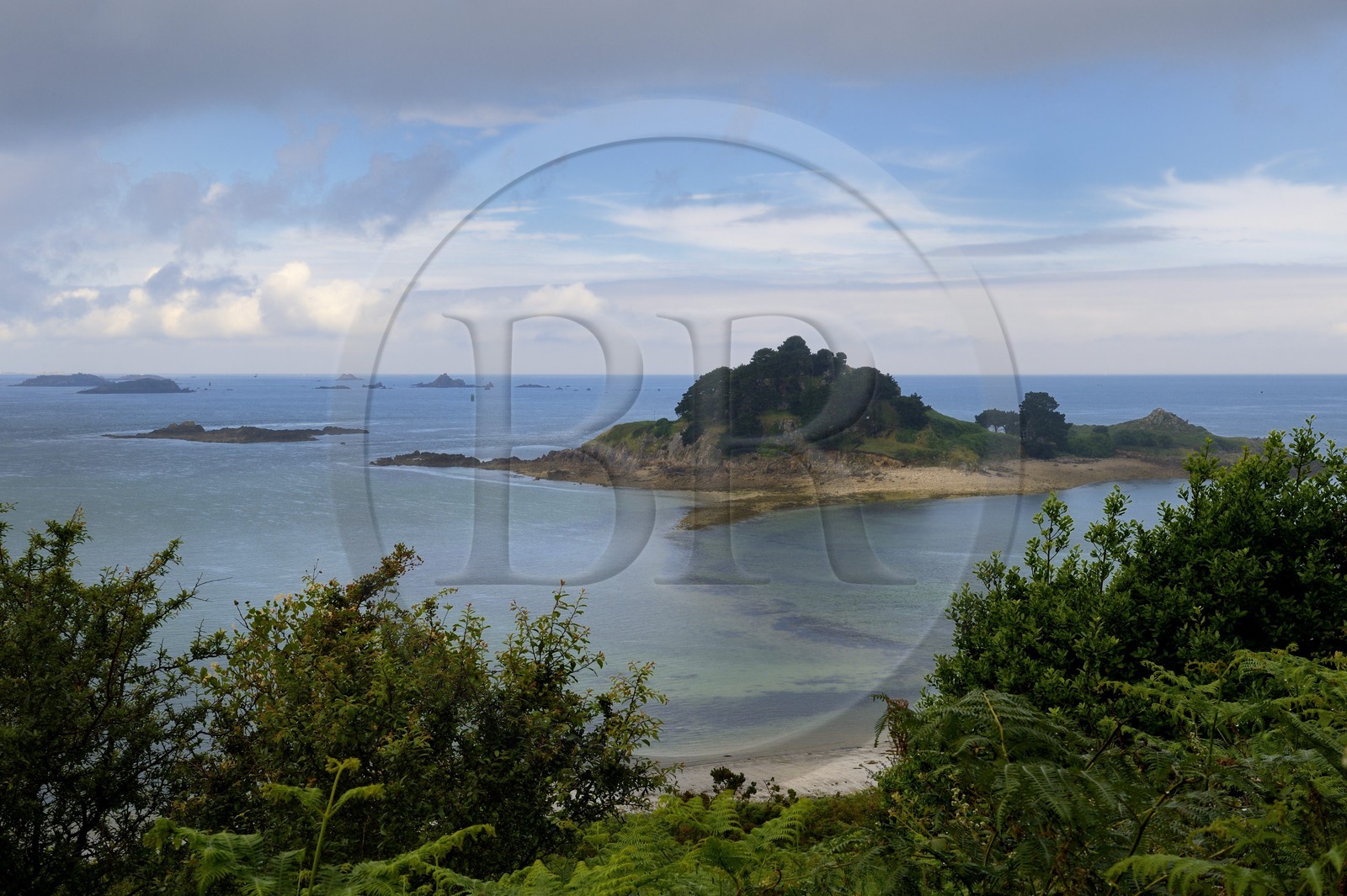 France, Finistere, Morlaix bay, Terenez, Sterec island