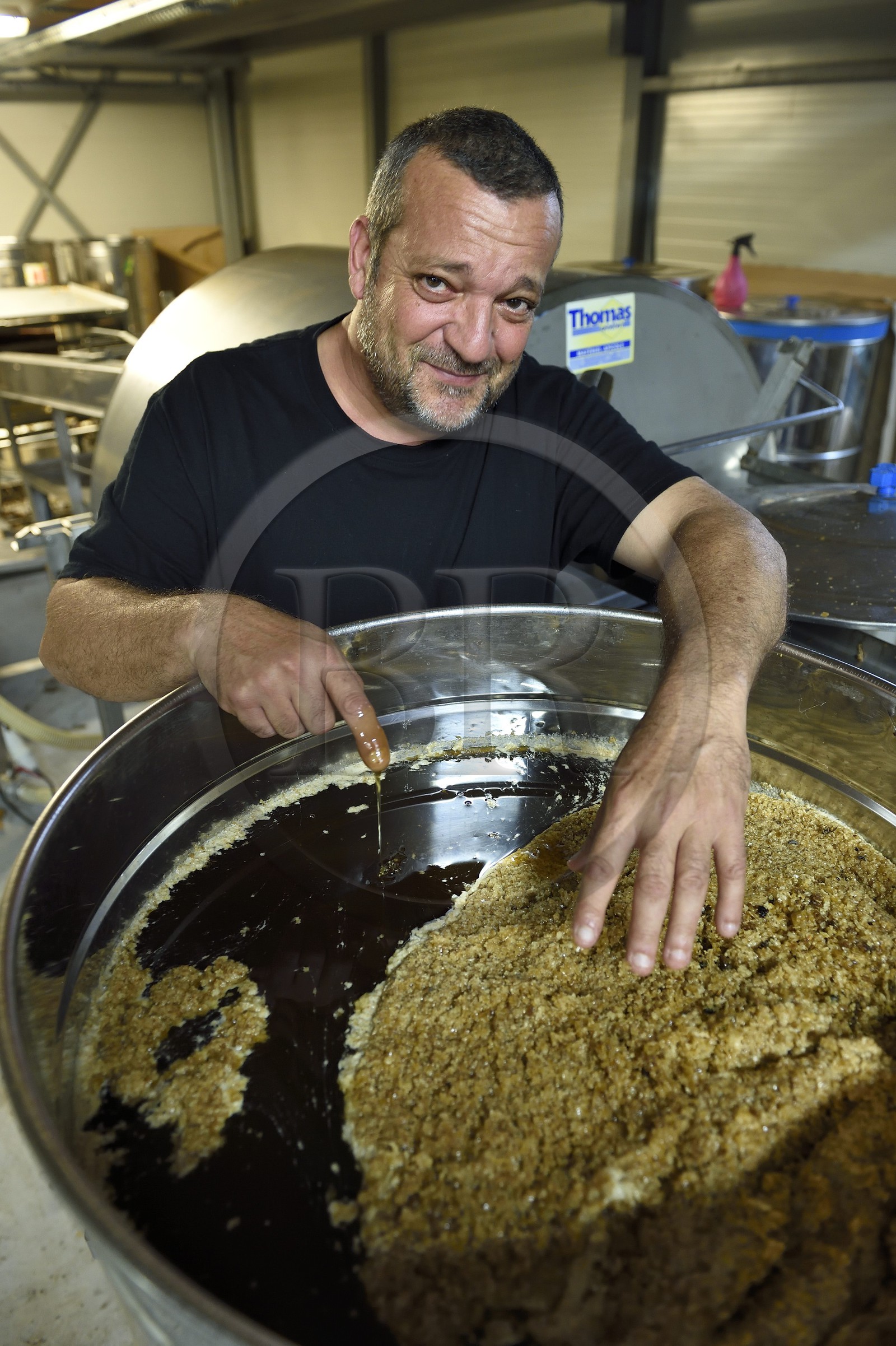 France, Corse du Sud, Prunelli river valley, Ocana, Le jardin des Abeilles (The garden of bees), the beekeeper Denis Casalta present his honey
