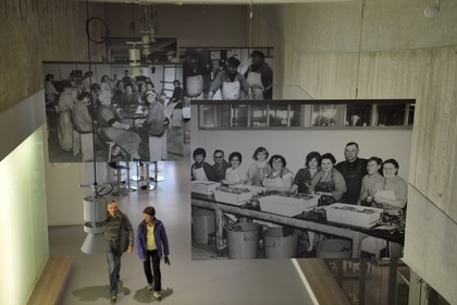 France, Seine-Maritime (76), Pays de Caux, Côte d'Albâtre, Les Pêcheries - Musée de Fécamp dans une ancienne sécherie de morue appartenant autrefois à l'armement morutier Les Pêcheries de Fécamp, photos en N&B des anciennes ouvrières au travail