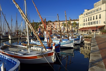 France, Var (83), Sanary-sur-Mer, barques traditionnelles de peche appelées pointus sur le port