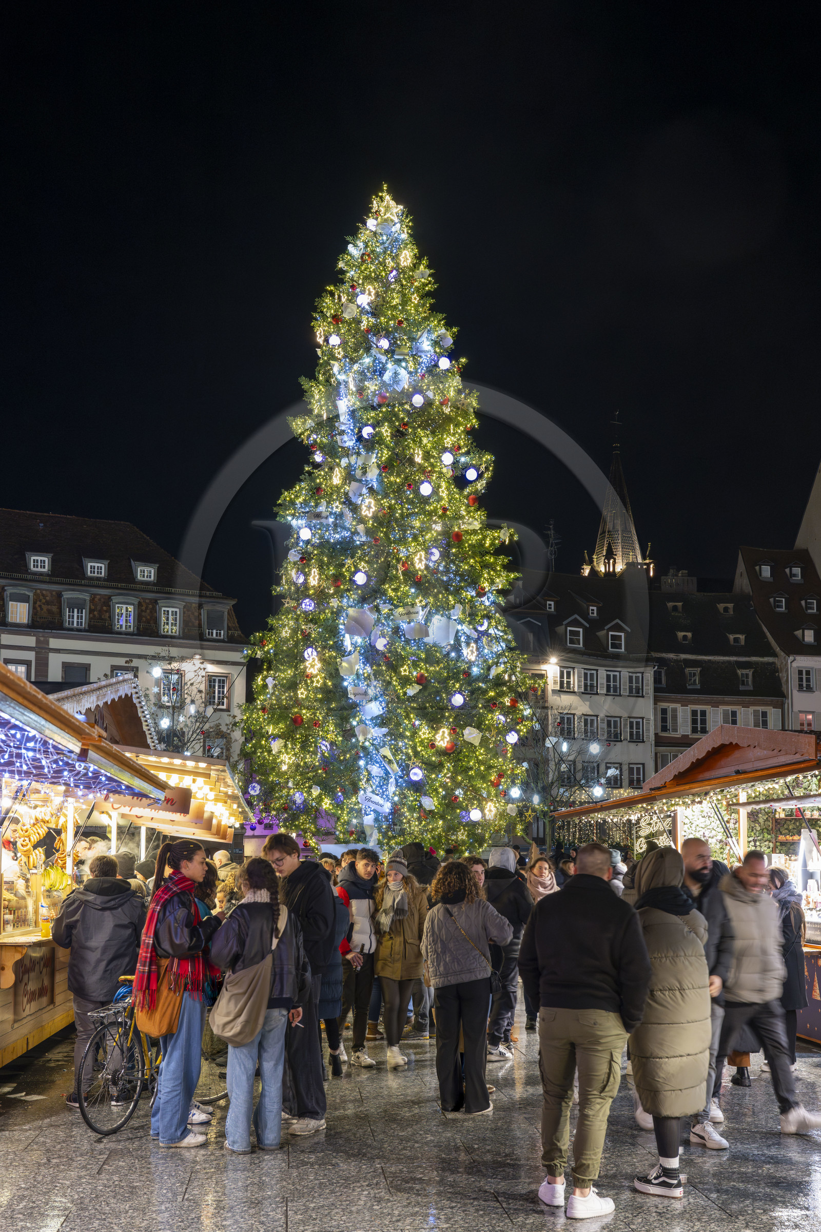 France, Bas Rhin, Strasbourg, old town listed as World Heritage by UNESCO, the big Christmas tree in place Kléber