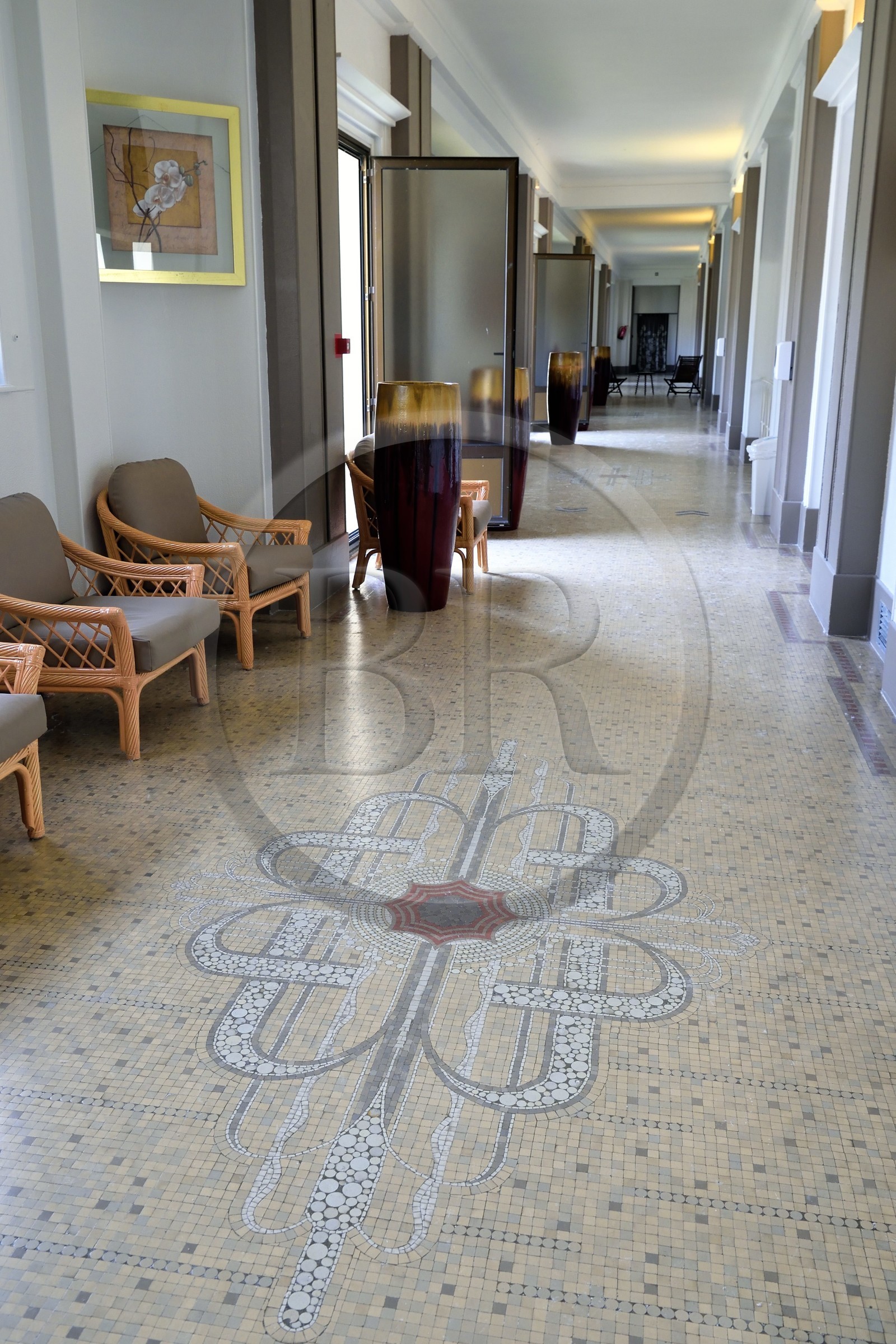 France, Allier (03), Vichy, Thermes des Dômes ou ancien Grand Établissement thermal, mosaïque art Déco au sol