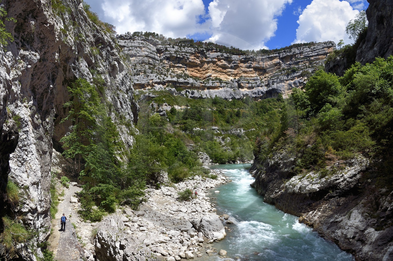 France, Alpes-de-Haute-Provence (04), Parc Naturel Régional du Verdon, Rougon, Grand Canyon du Verdon, la rivière du Verdon vers le saut du Bau au bord du couloir Samson et le sentier Blanc-Martel sur le GR4
