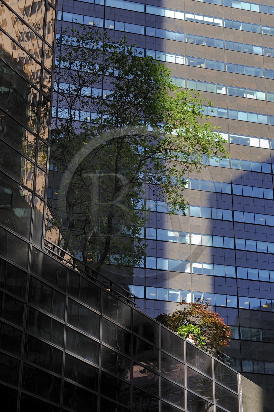 United States, New York, Manhattan, Midtown, 5th Avenue, the Trump Tower