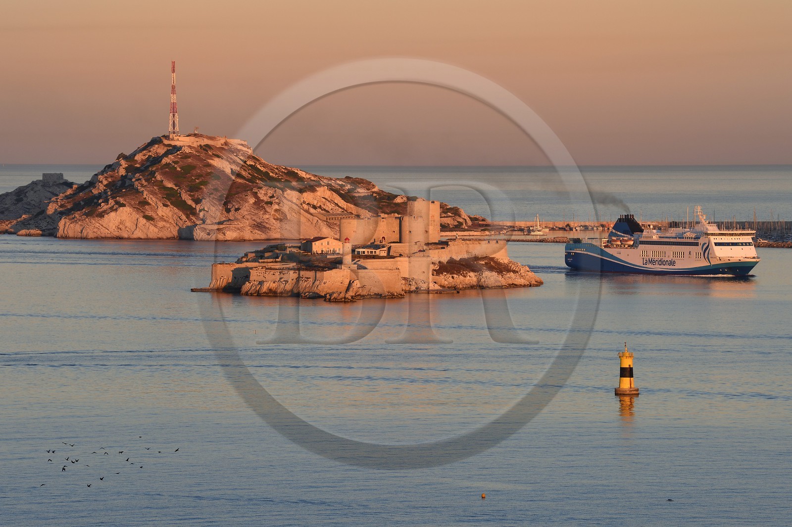 France, Bouches-du-Rhône (13), Marseille, Parc National des Calanques, Archipel des Iles du Frioul, ferry de La Meridionale en provenance de la Corse et le chateau d'If en premier plan