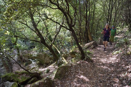 France, Var (83), entre Bagnols-en-Forêt et Roquebrune-sur-Argens, randonnée dans les Gorges du Blavet