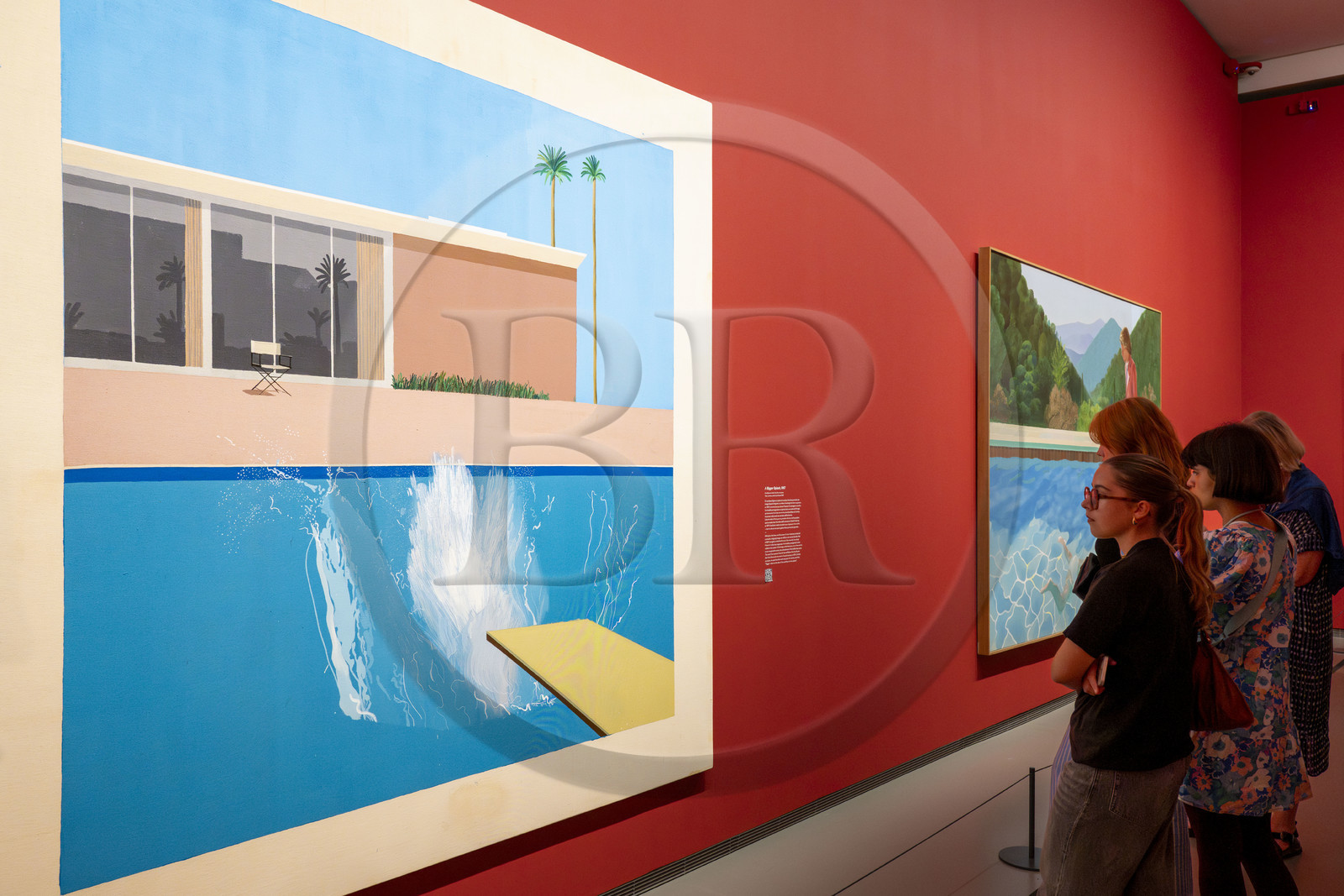 France, Paris, Bois de Boulogne, the Louis Vuitton Foundation by architect Frank Gehry, David Hockney exhibition 25, A Bigger Splash (1967)