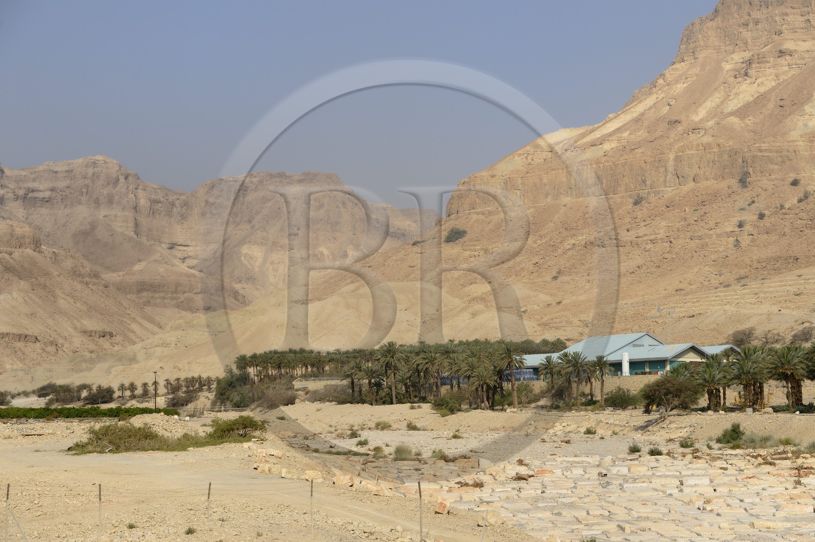 Israel, West Bank, Kibbutz on the Dead Sea