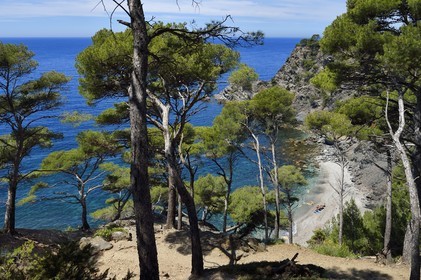 France, Var (83), Six-Fours-les-Plages, randonnée dans le massif du Cap Sicié, plage du Mont Salva vers Le Brusc