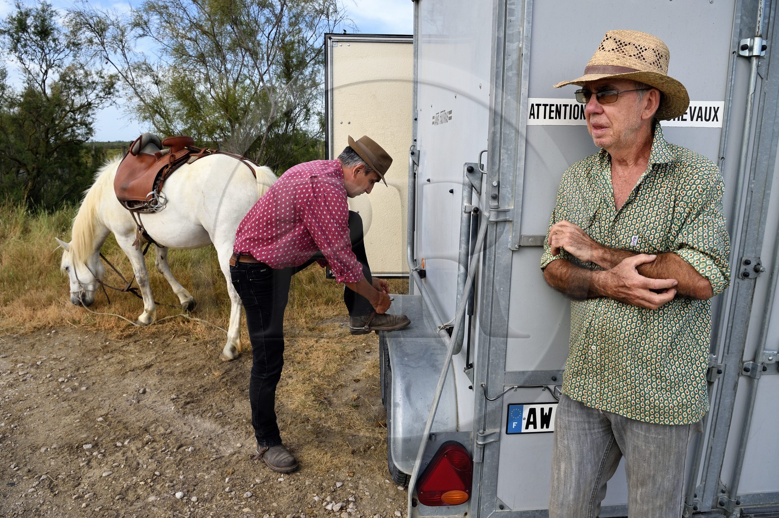 France, Bouches-du-Rhône (13), Parc naturel régional de Camargue, manade Jacques Mailhan, les gardians Christophe Prezet et Jean Marie Londez