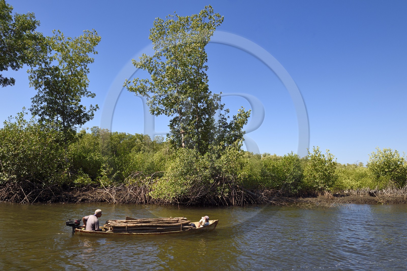 Nicaragua, la côte pacifique de Leon, pirogue chargée de bois dans la mangrove du parc national Isla Juan Venado