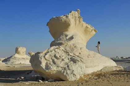 Egypte, désert libyque, le Désert Blanc au nord de Farafra