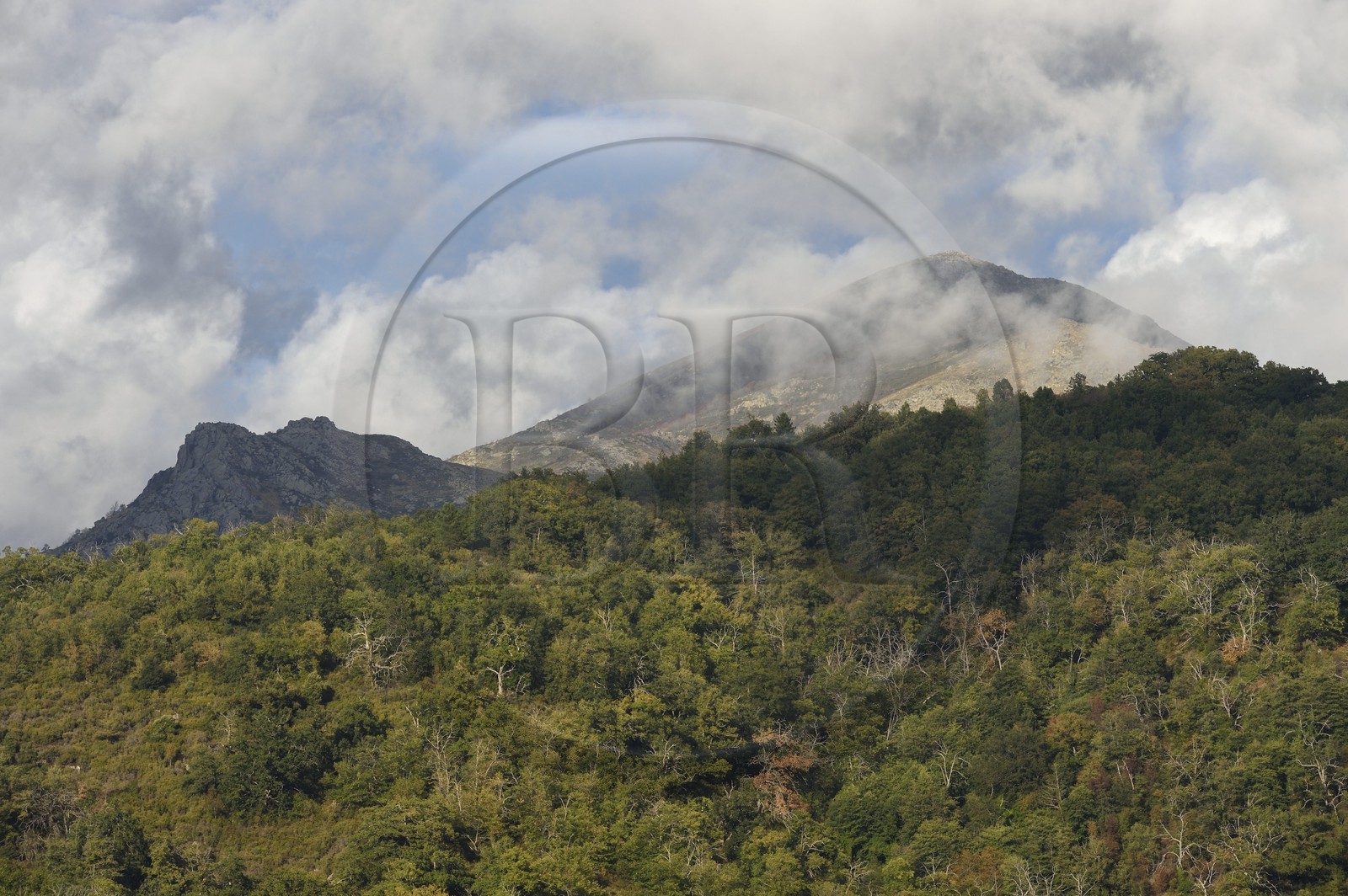France, Corse-du-Sud (2A), Vallée du Prunelli, Bastelica