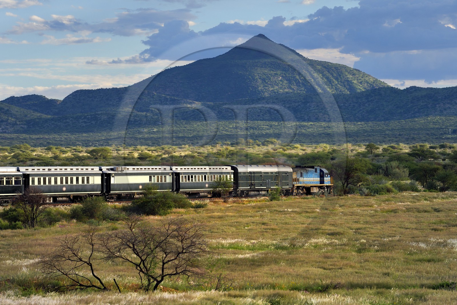 Namibia, Erongo region, the Shongololo express train crossing the Namibian bush
