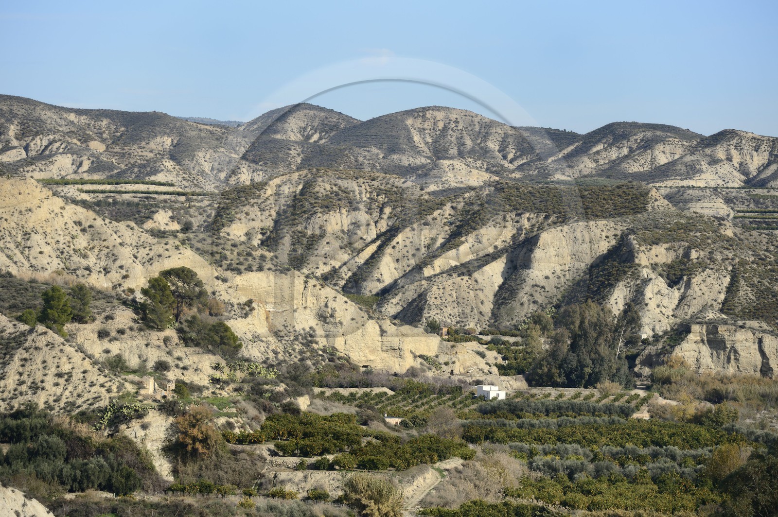 Espagne, Andalousie, Province d'Almeria, le désert de Tabernas derrière les cultures de Bentarique