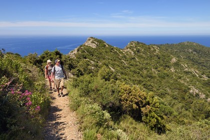 France, Var (83), Six-Fours-les-Plages, randonnée dans le massif du Cap Sicié, randonneurs sur le sentier des cretes de Roumagnan
