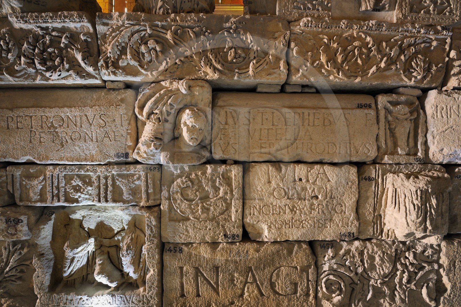 France, Aude, Narbonne, Lapidaire museum in Notre Dame de Lamourguier abandoned church