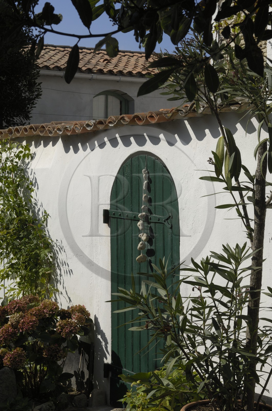 France, Charente-Maritime (17), ile de Ré, La Couarde-sur-Mer